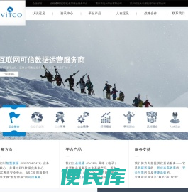 重庆远见信息技术有限公司