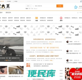宠大王