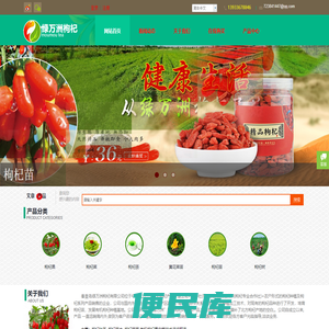 枸杞苗,枸杞苗木,,秦皇岛枸杞苗,黑枸杞苗,