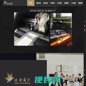 皓叶国际