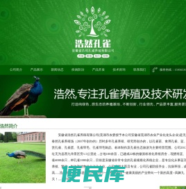 安徽,芜湖,浩然孔雀养殖场