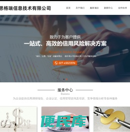 武汉思格瑞信息技术有限公司
