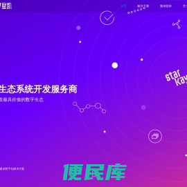 星凯网络