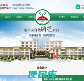 福星苹果苗