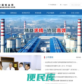 中国铝业股份有限公司