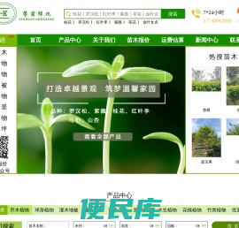 成都温江苗木批发