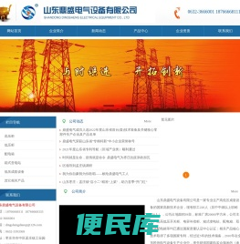 山东鼎盛电气设备有限公司
