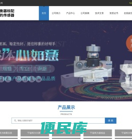 柯力电子秤