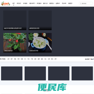 七彩仙子