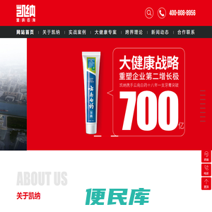 凯纳咨询集团