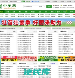 中姜网
