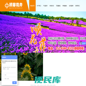 青州市顺菲花卉苗木有限公司