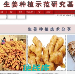 高丽参,人参，党参,沙参,