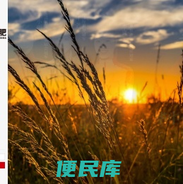 华中化肥
