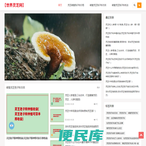 破壁灵芝孢子粉价格以及正确吃法「大全」