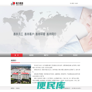 顿力集团有限公司