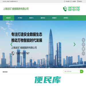 上海迪讯飞数据服务有限公司