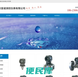 皮带秤仪表