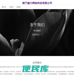 南宁越力网络科技有限公司