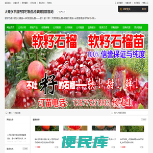软籽石榴◆软籽石榴苗◆不吐籽的石榴