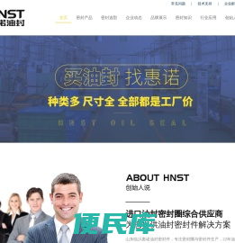 惠诺进口油封厂家