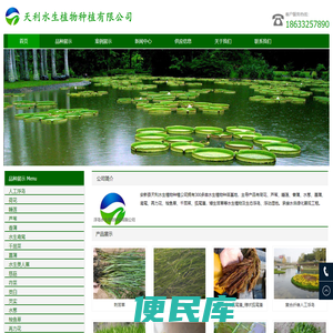 水生植物