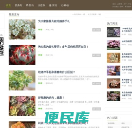 岁草网
