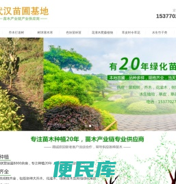 湖北武汉苗木苗圃基地，绿化苗木基地批发