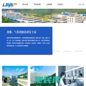 广东莱雅新化工科技有限公司