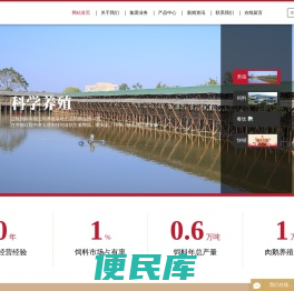 鹅养殖