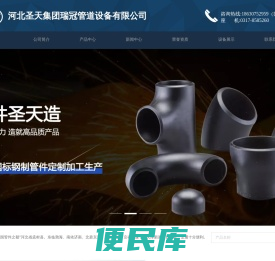 碳钢管件
