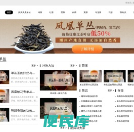 懂茶帝