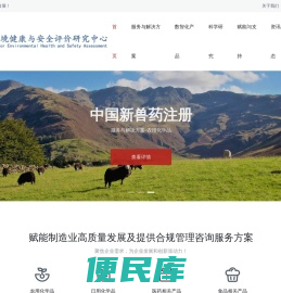环健安评