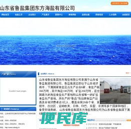 山东鲁盐集团