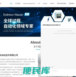 E+H液位计