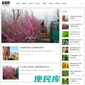 扶农网