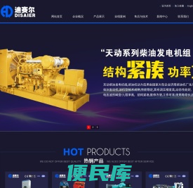 迪赛尔机电设备有限公司