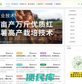 新农网