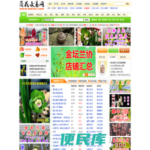 中国兰花交易网