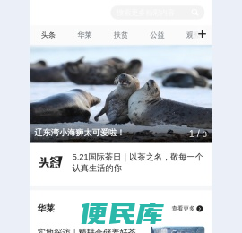 观茶APP