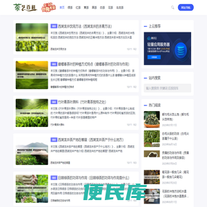 茶艺百科