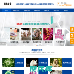 细胞鉴定
