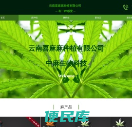 首页
