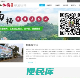 慈溪杨梅