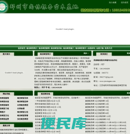 银杏树苗
