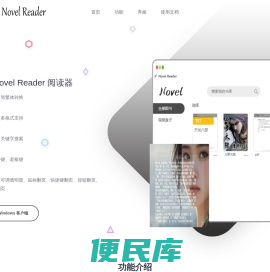Novel