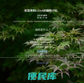 编程的光与影