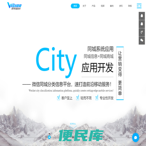 觉视网络科技