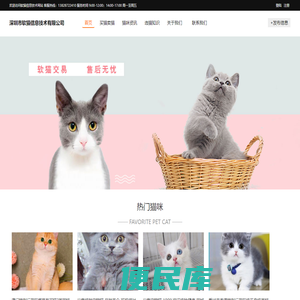 深圳市软猫信息技术有限公司