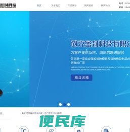 特种橡胶密封件